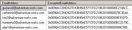 Encrypted Email Address field in AdventureWorks sample SQL Server database