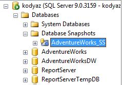 SQL Server Database Snapshot