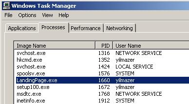 landingpage.exe in Task Manager