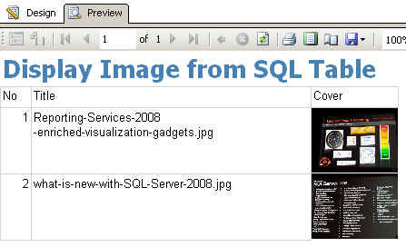 display image from database using sql reporting services report display image from database using sql reporting services report