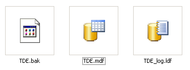 SQL Server TDE Data Log Backup Files
