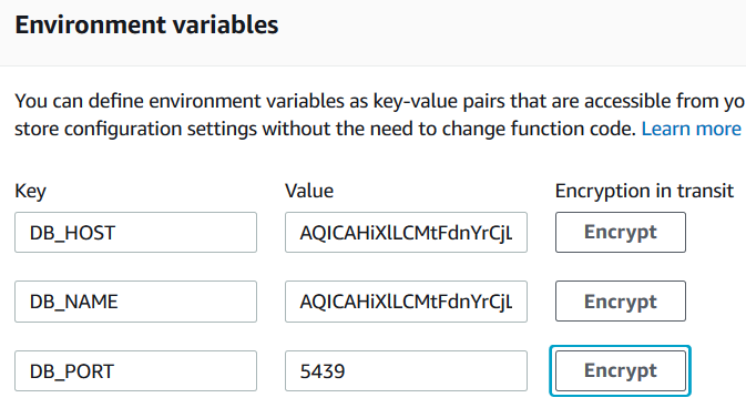 encryption in transit for Lambda function environment variables
