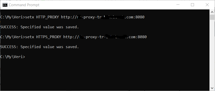 set proxy address for AWS CLI command line interface