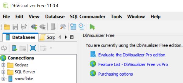launch DbVisualizer free database management tool
