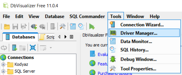 open driver manager configuration on DbVisualizer for Denodo JDBC drivers