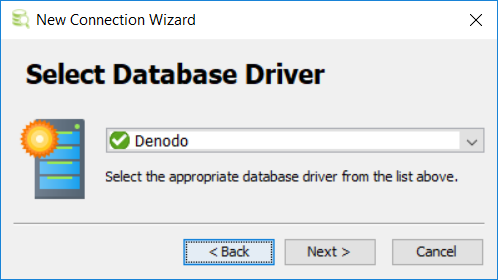 select Denodo database driver