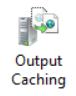IIS Output Caching feature