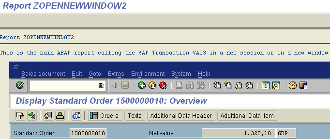 launch SAP transaction in new ABAP window