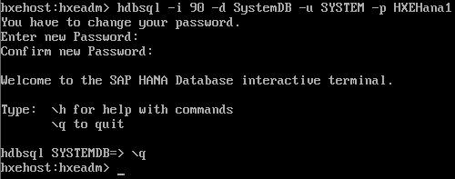 HDBSQL SAP HANA Database interactive terminal