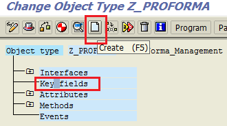create key fields for SAP business object