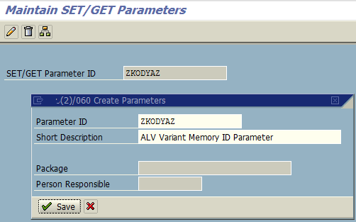 create parameters for ABAP developer on SAP