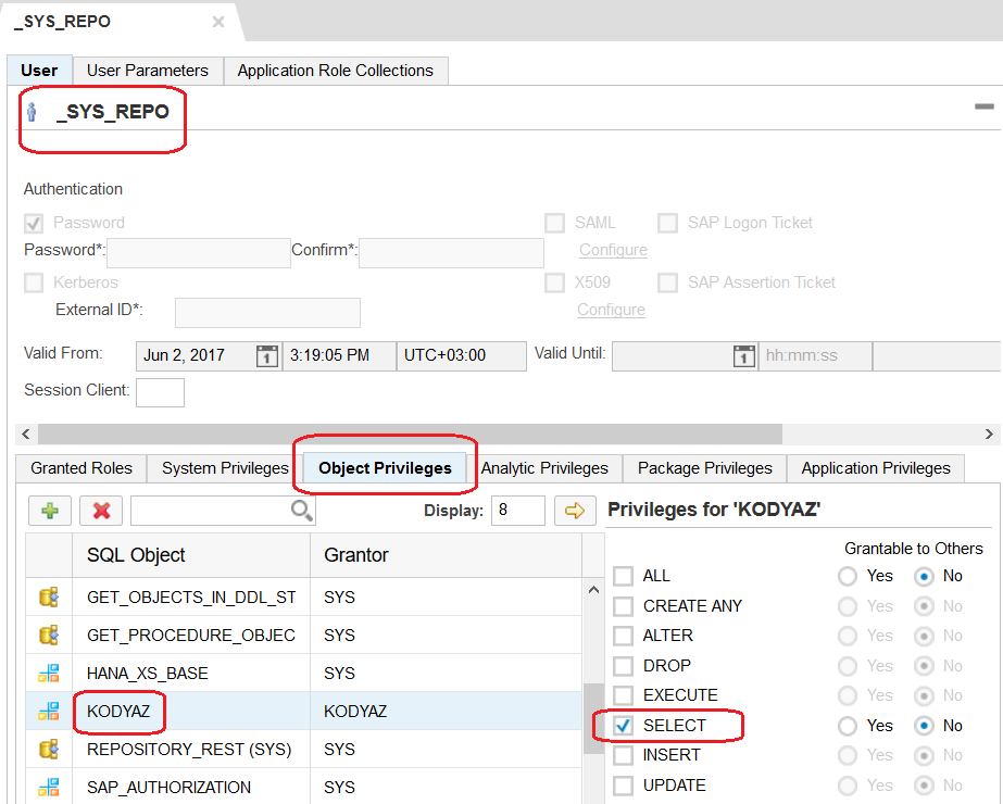 grant SELECT privileges on schema for _SYS_REPO user on Object Privileges tab