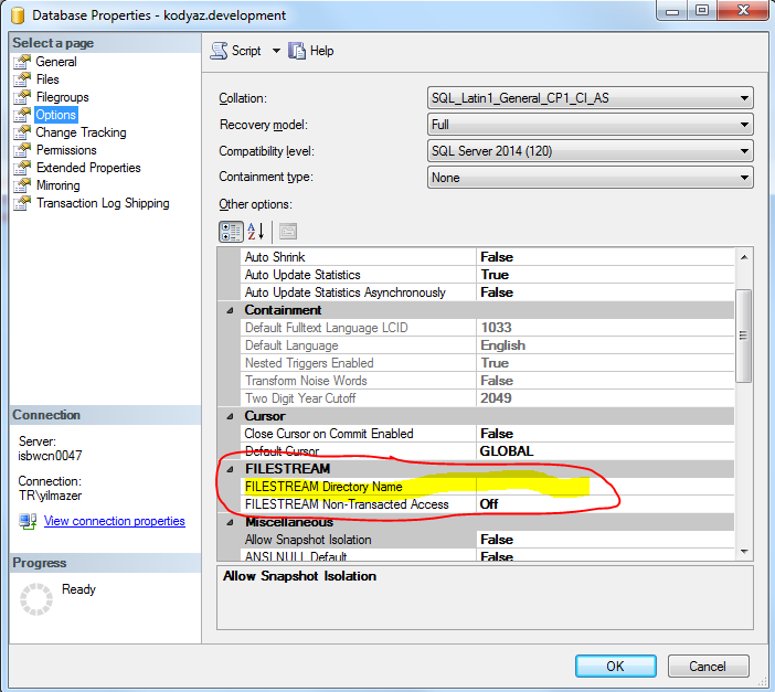 FileStream directory name configuration on SQL Server database