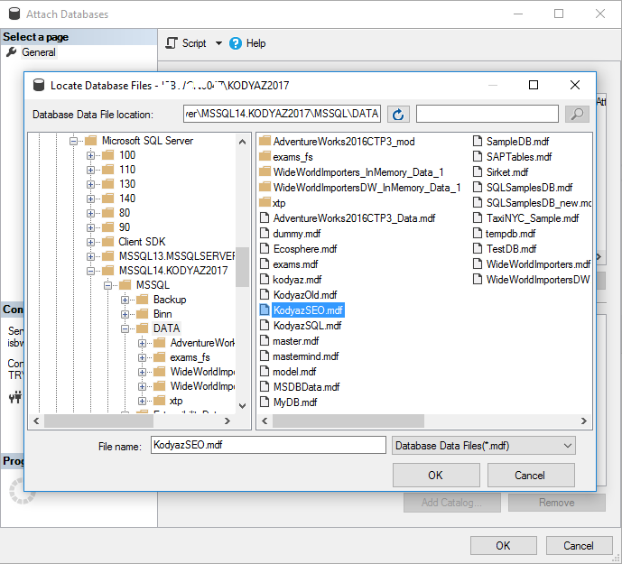 SQL Server database mdf data file to attach