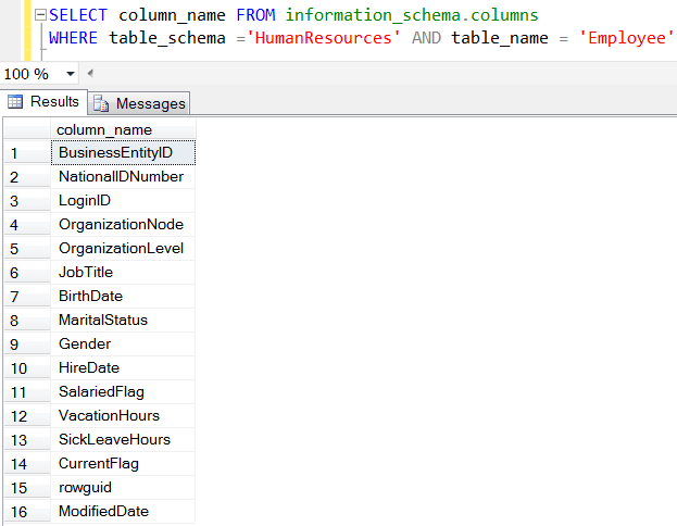 SQL Server Information Schema View for columns of a table