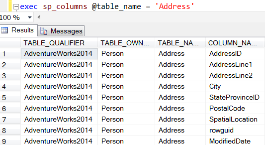 list of table columns using sp_columns SQL Server system procedure