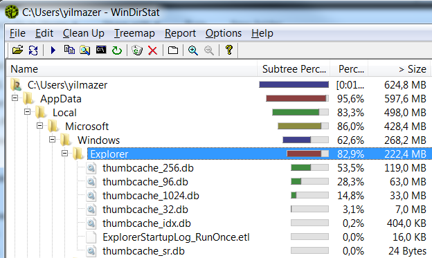 thumbcache files where thumbnails are cached seen on WinDirStat