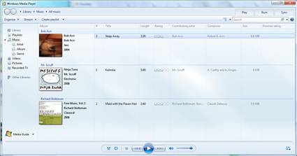 Windows Media Player 12.0.7100.0