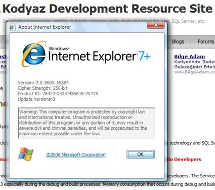Internet Explorer 7+ (IE7+)