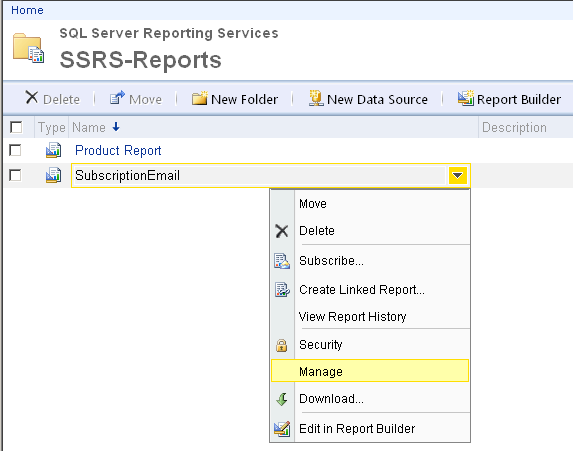manage SQL Server Reporting Services report