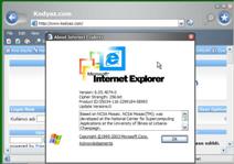 internet explorer