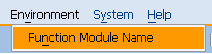function module name