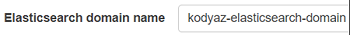 Amazon Elasticsearch domain name