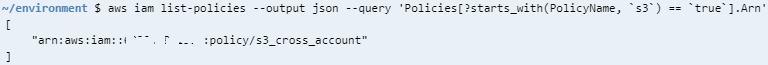 AWS CLI IAM list-policies command starts with query option code sample