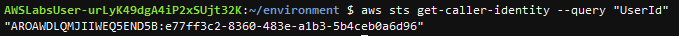AWS CLI command to get AWS IAM userid