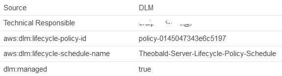 tags associated with snapshot managed by DLM policy