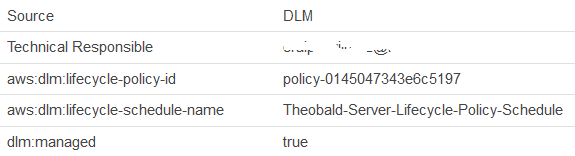 tags associated with snapshot managed by DLM policy tags associated with snapshot managed by DLM policy