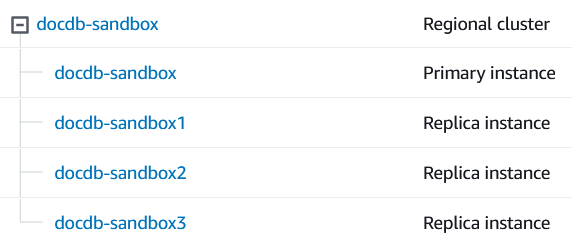 Amazon DocumentDB cluster and its nodes