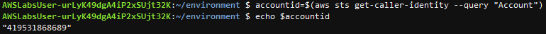 AWS CLI command to find AWS account number and use variable to store