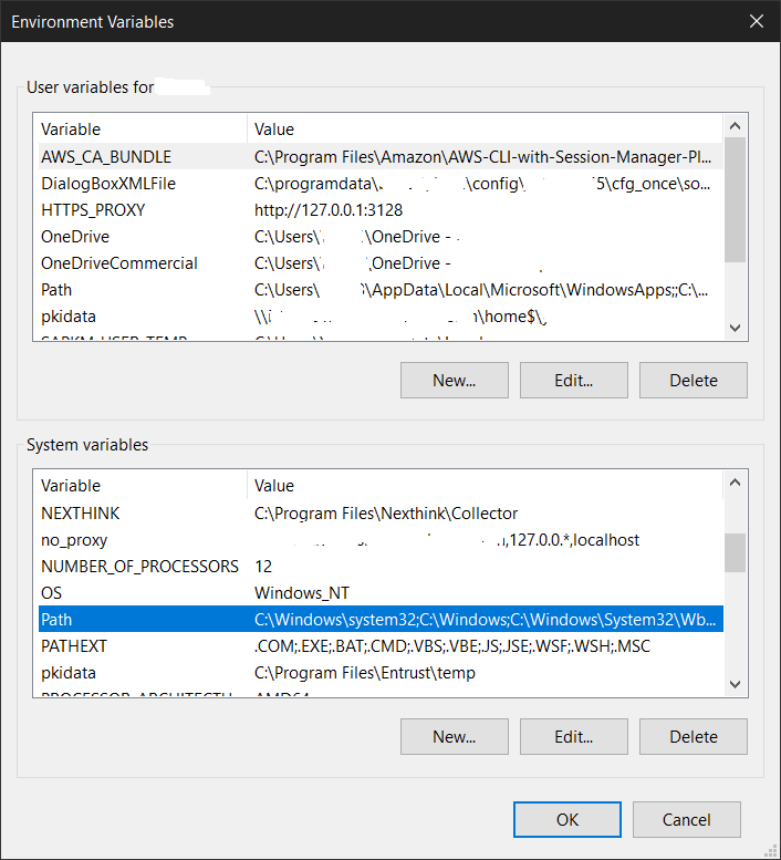 edit Path system variable for Terraform