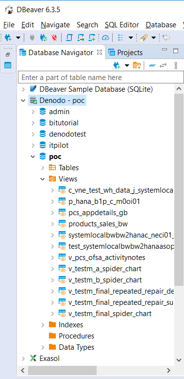 Denodo data virtualization content on DBeaver