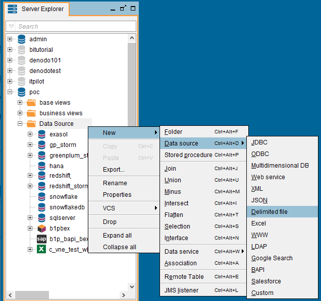 new data delimited data source on Denodo data virtualization tool