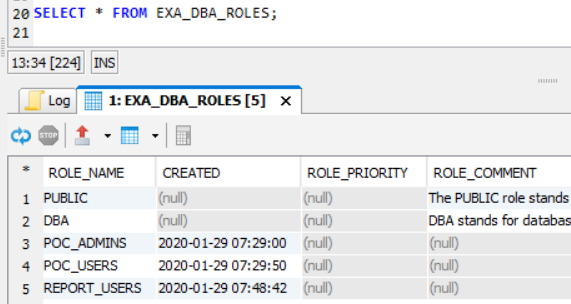 Exasol database user roles