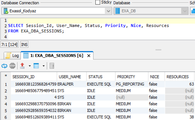 assign priority group to roles on Exasol database