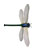 Windows7-Microsoft-Garden-Pond-dragonfly-picture