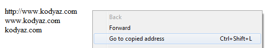 internet-explorer-9-rc-ie9-rc-go-to-copied-address