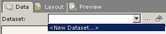 create new dataset in Reporting Services