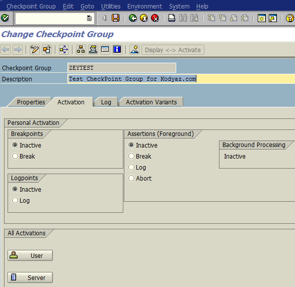 ABAP checkpoint detail