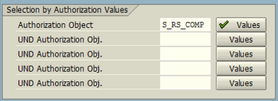 ABAP authorization object values to find SAP roles