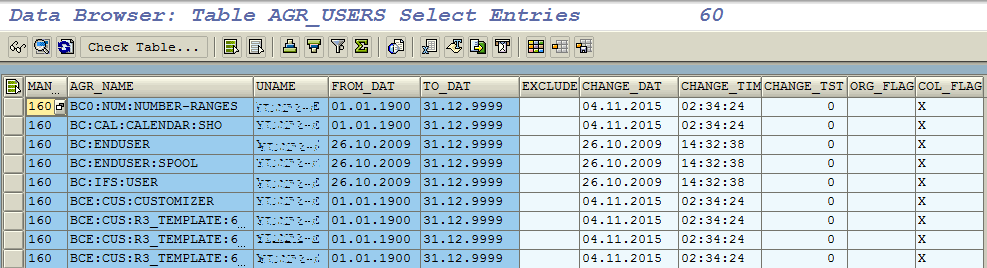 SAP user roles in AGR_USERS ABAP table
