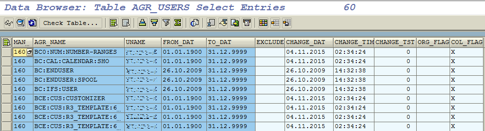 user group assignment sap