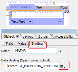 Adobe Form text field data binding
