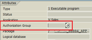 Authorization Group in ABAP program