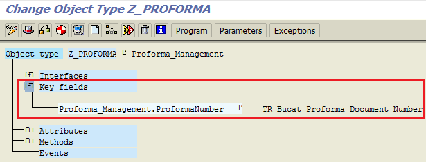 SAP business objects key fields