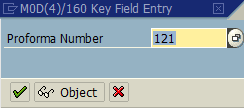 enter key field values for SAP business object