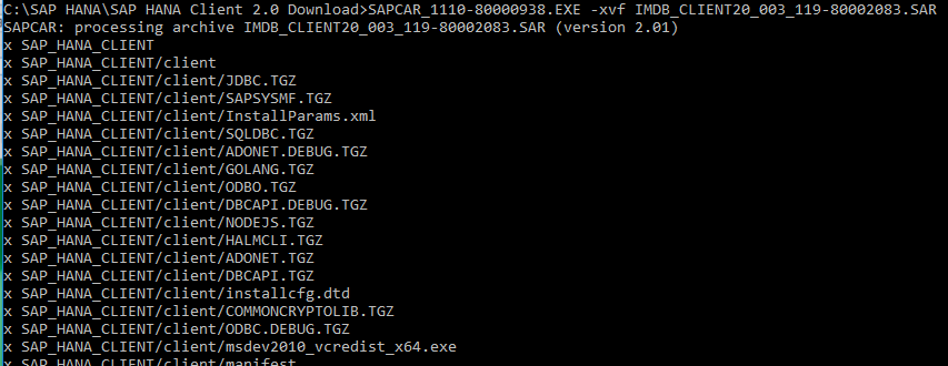 extract SAP HANA DATABASE CLIENT using SAPCAR executable
